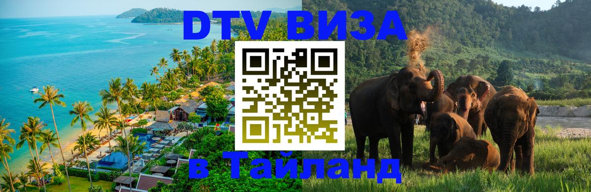 Сколько стоит DTV виза — актуальные цены, оформление даже без документов - 